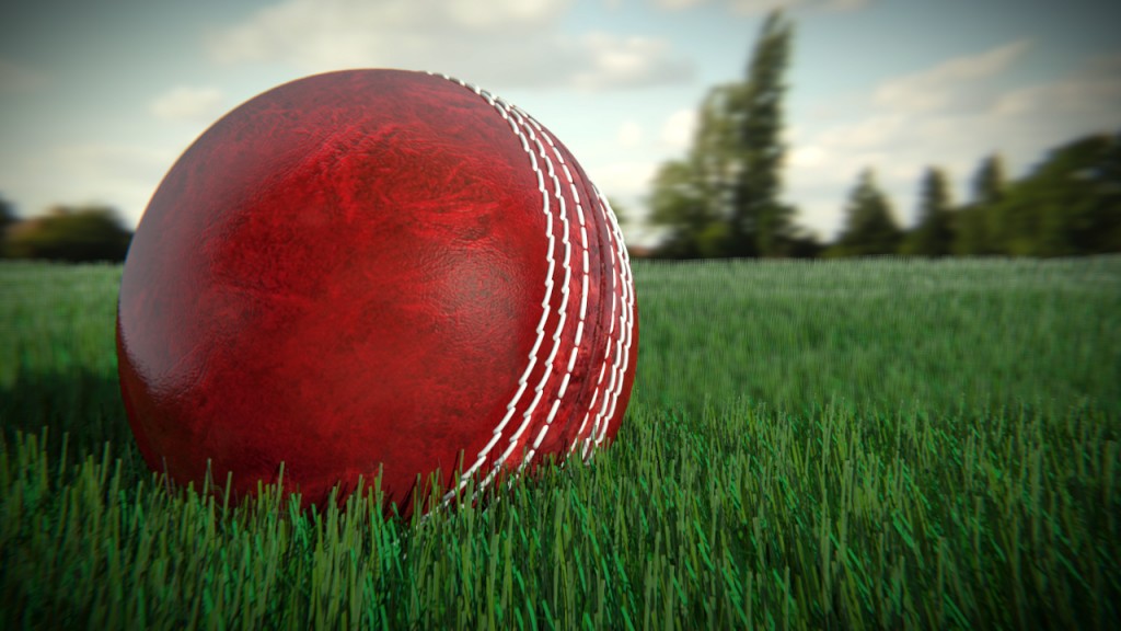 Cricket Ball preview image 1